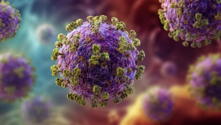 Virus Zapadnog Nila u Severnoj Makedoniji odneo pet života