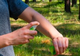 TRIK ZLATA VREDAN: Oterajte komarce uz pomoć 2 sastojka